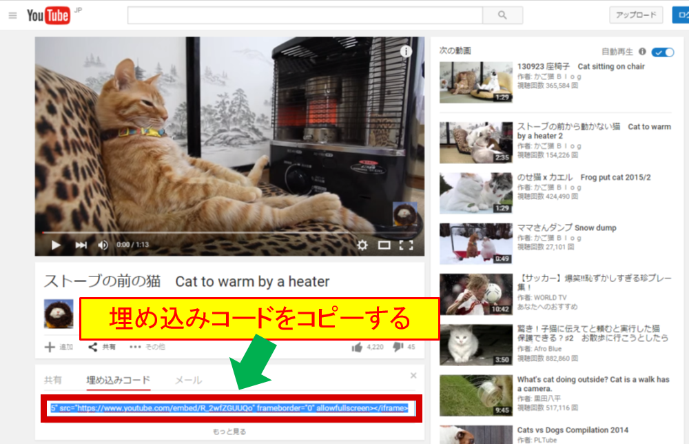 YouTubeビデオの貼り付け